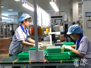 投入億元自主研發(fā)，海曙企業(yè)以軟件研發(fā)實力榮膺國家級“綠色工廠”